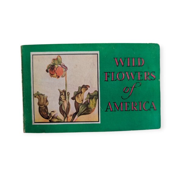 Vintage Wild Flowers of America Paperback Pocket Picture Reference Book 1932 - Picture 1 of 14